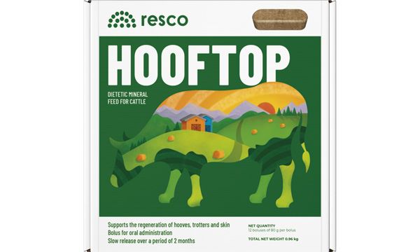 Hooftop bólusz